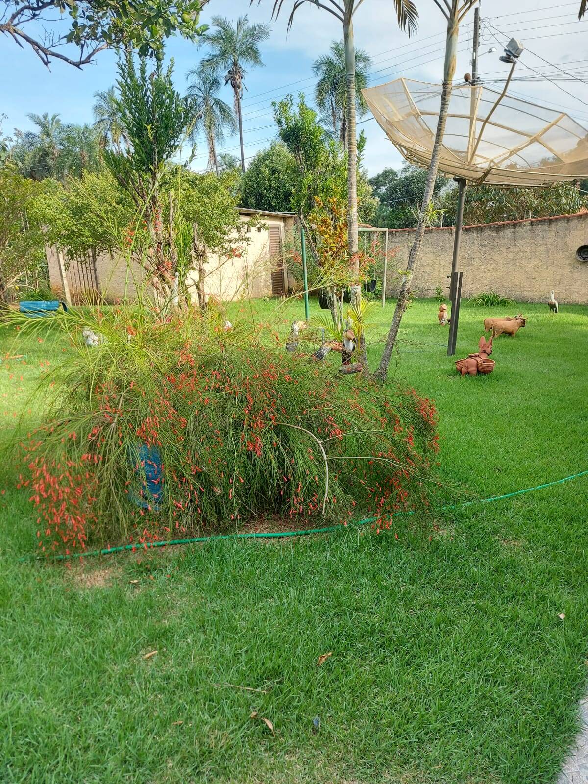 Casa à venda com 3 quartos, 3920m² - Foto 11