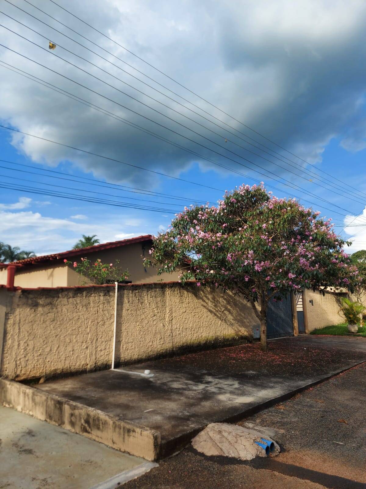 Casa à venda com 3 quartos, 3920m² - Foto 4